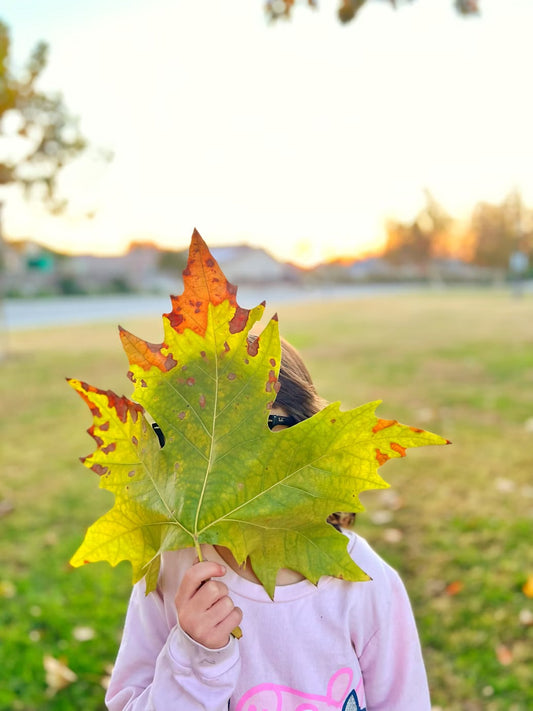 50 Fun & Creative Fall Activities to Do With Kids